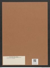 Diatomeae indet. Zeichnungen Sammlung Grunow Mappe 02740 (Herbarium_W_Grunow_drawings_Folder_02740)